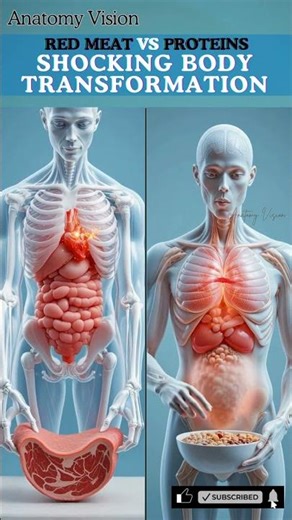 The Truth About Red Meat vs Plant Protein Digestion😱