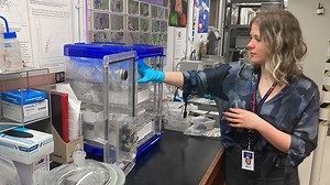 Winchcombe to 'reinvigorate UK meteorite science'