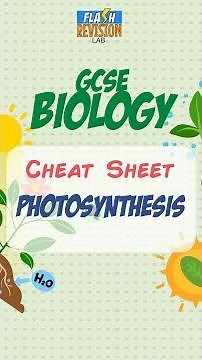 GCSE Biology: Cheat Sheet | Photosynthesis