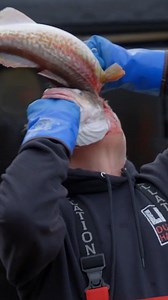 Hard pass on this opening day tradition 🫣 Would you do it? #DeadliestCatch | Deadliest Catch