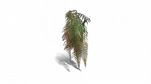 Realistic HD Male fern (46/50) - Download Free 3D model by PlantCatalog