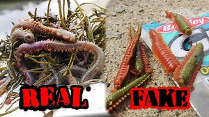 331K views · 3.4K reactions | Sandworm VS. Live Pile Worm - Which Will Catch More Fish? 缾 | Fisherman's Life | Facebook