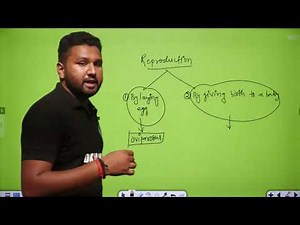 Class 4 || Science || Part 1 || Ch-4 || Reproduction in animals
