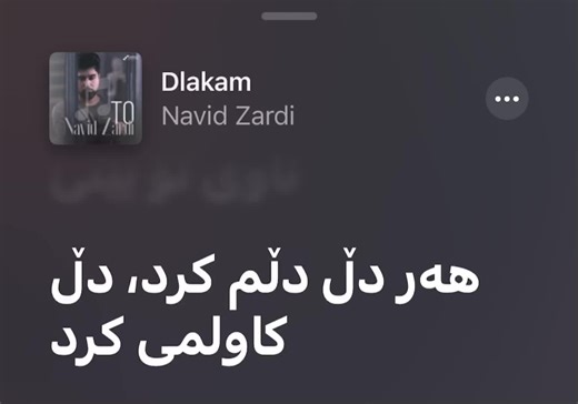 Navid Zardi - Dlakam: Inspiring Kurdish Music