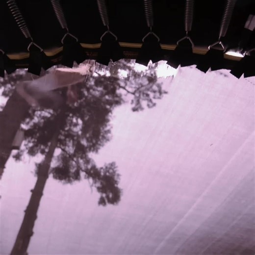 Julia Campbell: The Final Destination Journey