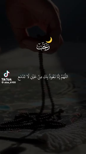 WOLF (@volf931)’s videos with original sound - WOLF