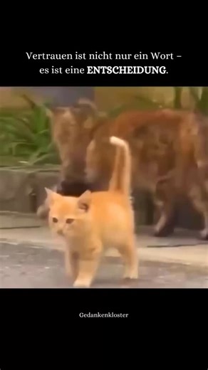 Gedanken Kloster on Instagram: "Vertrauen beginnt dort, wo Kontrolle endet. Es ist der Moment, in dem du dich öffnest, obwohl du weißt, dass nichts garantiert ist. 🤍 Vertrauen heißt nicht, blind zu sein. Es heißt, mutig zu bleiben – trotz alter Narben, trotz vergangener Enttäuschungen. 🌒 Wann hast du dich das letzte Mal bewusst dafür entschieden, jemandem oder dir selbst wieder zu vertrauen? ✨ Folge Teile in den Kommentaren ob du schon einmal Vertrauen geschenkt hast, obwohl es dir schwerfiel.