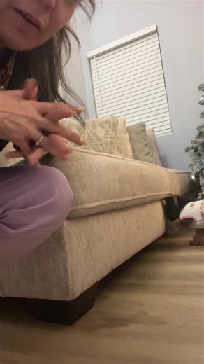 Cuando pierde algo debajo del sofa#mascotastiktok #yorkiesoftiktok #juguetes @creator search insight @#foryou