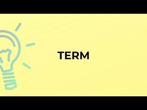 What is the meaning of the word TERM?
