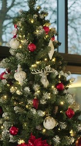 The X30-12 combines shimmering highs and punchy, bold lows for the ultimate 12-string acoustic. Our carbon fiber construction also means you'll spend more time playing and less time tuning! Find out more about the X30-12 at: https://buff.ly/3S8y65X #emeraldguitars #acoustic #acousticguitars #12stringguitar #folkguitar #guitarist | Emerald Guitars