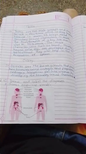 9th standard science part 2 exercise