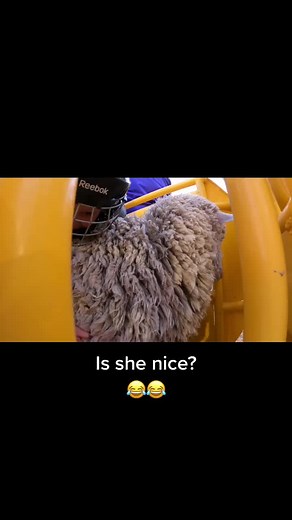 Hilarious Rodeo Moments Caught on Video