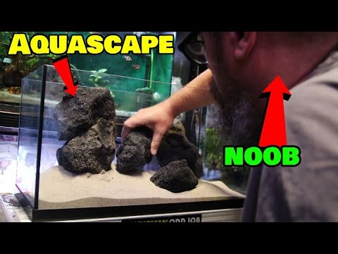 So You Want To Be A Pro Aquascaper?