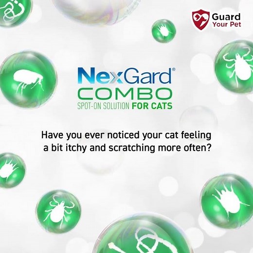 Nexgard Combo Spot-On Solution For Cat