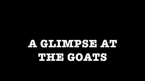 a glimpse at the goats