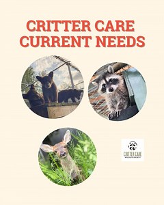 11K views · 77 reactions | We’re running low on a few essentials that...