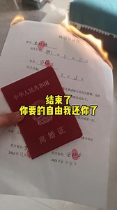 再见了最熟悉的陌生人#如何办理离婚手续 #快速离婚 #法律咨询 #网上立案 #起诉离婚