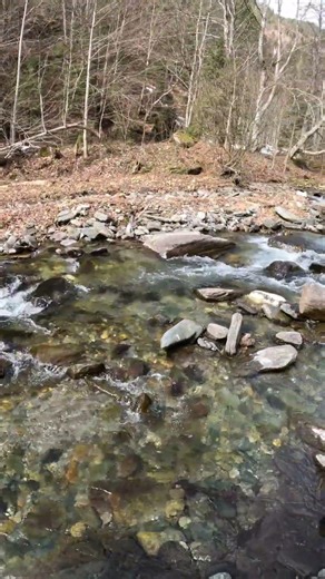 Drumul apei limpezi. #forestwhispers #spring