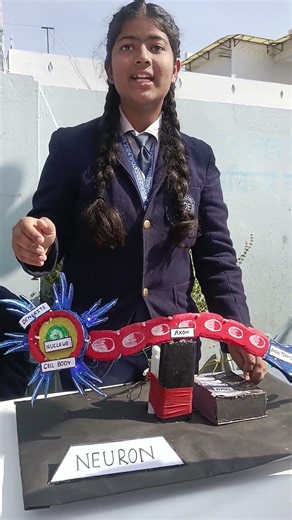 #biology working modal class 9th# scienceexibition ##🤔🤔