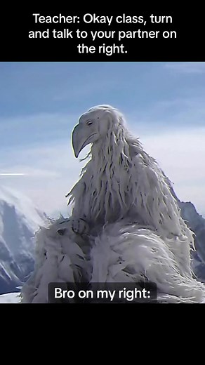 luh calm fit, nun too extravagant.#opiumbird #erosionbird #erosionbird2027 #luhcalmfit #calmluhfit #luhcalmfit🗣️🔥 #luhcalmfits #bigwhitebird