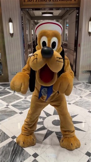 Hanging out with the one and only Pluto on the Disney Treasure! #disneycharacters #pluto #disneycruise #cruising #woodbreyfamilytravel