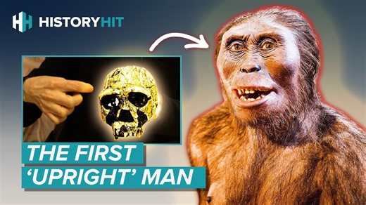 Homo erectus | Why Did the Most Successful Early Human Go Extinct?