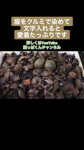 オニグルミで服を染めて、型染めで文字を入れると愛着たっぷりオリジナルTシャツができました#草木染め #草木 #クルミ #植物 #知識ハウツー部門