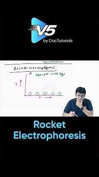 Rocket Electrophoresis Explained | Antigen Units & Rocket Formation in Agar Gel | DocTutorials V5