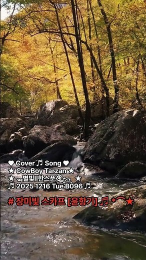 ★~ 장미빛 스카프 [윤항기] ♬ 2025 1216 Tue B096 ♬ ★ Song by ★ CowBoy Tarzan ★ ༺별빛ll한스푼ঔৣ꧂ ★