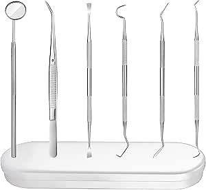 6 Pieces Dental Tools Set, Professional Stainless Steel Dental Hygiene Cleaning Kit with Case, Including Dental Mirror, Plaque Tartar Remover for Teeth, Tweezers, Probe, and Pick Scaler for Oral Care