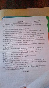 SECTION - B10 \times 2 = 20Draw and label the structure of a ... | Filo