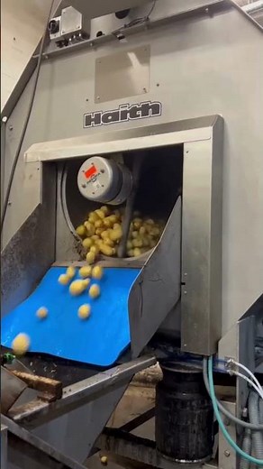 Potato Washing - Haith Destoner + Polisher