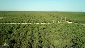 6.1K views · 194 reactions | The almond groves, just west of Bakersfield, were the perfect place for a killer to hide a body… The full story tonight at 7/6c on a classic Dateline. | Dateline NBC | Facebook