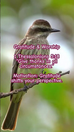 Bible Verse on Gratitude 🙏1 Thessalonians 5:18 | Give Thanks to the Lord
