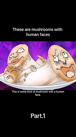 Mushrooms with Human Faces Explained | Toriko Eating Contest Scene