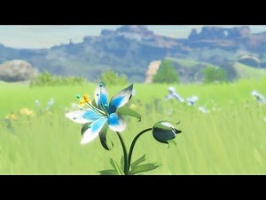 Open Your Eyes (Zelda: Breath of the Wild Remix)