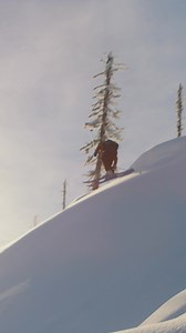 Dream zone, perfect lighting, heavy session with Teal Harle 🤌 See more bangers from Teal in his recently released segment from Pressure Drop. Click below to watch! https://www.tetongravity.com/pressure-drop-teal-harles-backcountry-debut/ #tgrpressuredrop - Sun Cruiser Nissan TINCUP Whiskey Norrøna ATOMIC SKIING | Teton Gravity Research