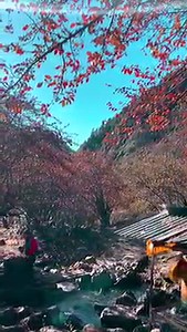 5.3K views · 637 reactions | One of the benefits of the prayer wheel...