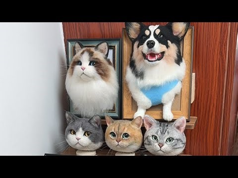 #Diy Needle Felting Cats Tutorials #portrait