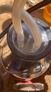 1.9K views · 15 reactions | I seriously can’t describe how much I love this milking machine we are borrowing. If you can, you need one of these amazing Melasty Milking Machines from Mitty Supply. This thing will level up your game considerably! Another 2 gallons in the fridge this am and we have only had her a week. She is learning the routine and we are too! #farmlife #homesteading #mittysupply | Blended Pastures Farmstead | Facebook