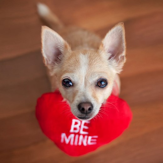 Take a Cue from Cupid With These Cute Valentine's Day Instagram Captions