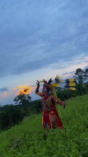 Tari Dayang Bintang: Keanggunan Tarian Tradisional Dayak