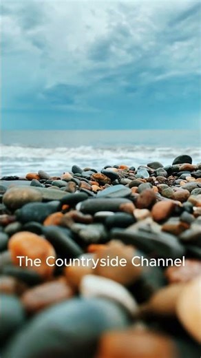 Agate Beach IN Oregon / Relaxing Music - Relax / Sleep / Study