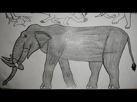 Sound Effects-Clukrindian Elephant