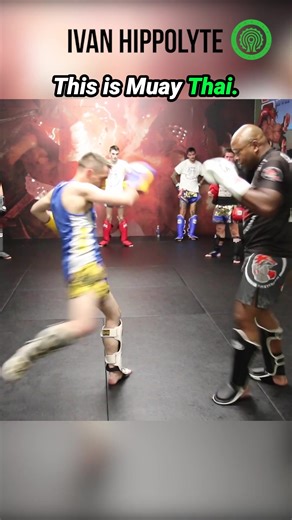 Mastering the Liver Punch and Kick in Dutch Kickboxing