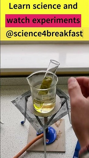 Testing a Leaf for Starch #gcsescience #biology #science #scienceteacher