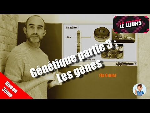 3rd Grade Lesson: Genetics Part 3: Genes