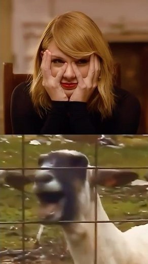 Taylor Swift Can't Stop Laughing at "I Knew You Were Trouble" Goat Meme
