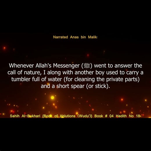 English Translation of Hadith 18 I Sahih Al-Bukhari I Book of Ablution I Wudu I Book 04