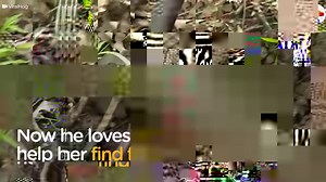 19M views · 217K reactions | This guy started helping an abandoned baby robin find worms to eat, and now they have the cutest relationship  | The Dodo | Facebook